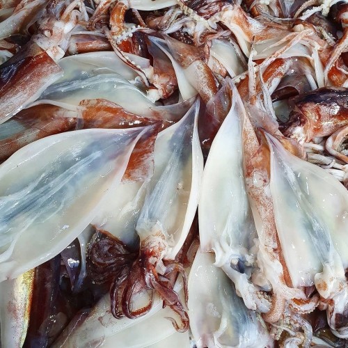 04. 동해 영덕 손질오징어 1kg